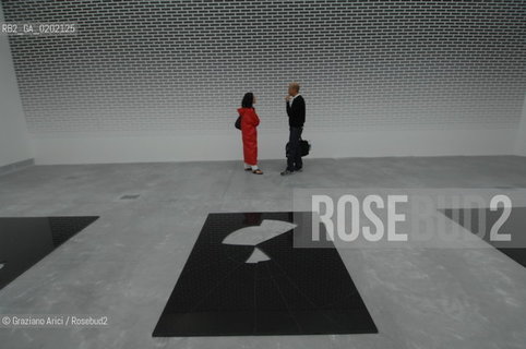 VENICE 04//6/07 - THE 52sd VENICE ART EXPOSITION : THINK WITH THE SENSES, FEEL WITH THE MIND : IRAN DO SPIRITO SANTOS ROOM  @ Graziano Arici/Rosebud2 ARTE ARTISTI BIENNALE