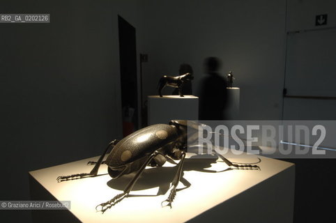 VENICE 04//6/07 - THE 52sd VENICE ART EXPOSITION : THINK WITH THE SENSES, FEEL WITH THE MIND : JOSHUA MOSLEYS ROOM  @ Graziano Arici/Rosebud2 ARTE ARTISTI BIENNALE