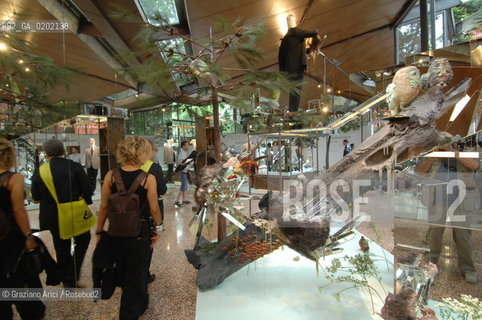 VENICE 04//6/07 - THE 52sd VENICE ART EXPOSITION : THINK WITH THE SENSES, FEEL WITH THE MIND - CANADA PAVILLON - DAVID ALTMEJD    @ Graziano Arici/Rosebud2 ARTE ARTISTI BIENNALE