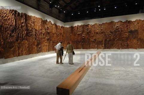 VENICE 04//6/07 - THE 52sd VENICE ART EXPOSITION : THINK WITH THE SENSES, FEEL WITH THE MIND - ARSENALE - THE ITALIAN PAVILLON - THE  GIUSEPPE PENONE, INSTALLATION SCULTURE DI LINFA    @ Graziano Arici/Rosebud2 ARTE ARTISTI BIENNALE
