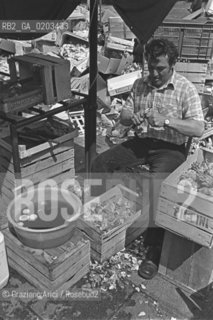 VENEZIA 1978 VENDITORE DI VERDURA CHE PULISCE CARCIOFI © ARCHIVIO Graziano Arici/Rosebud2  MERCATO VERDURA ORTOFRUTTICOLO IN BARCONE PULITURA CARCIOFI