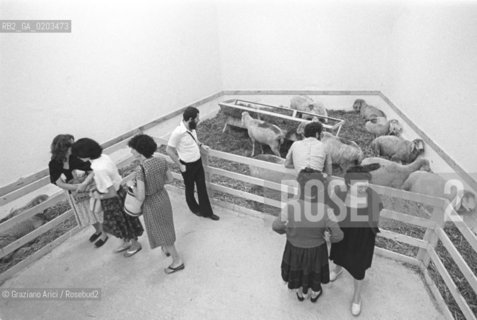 VENEZIA 1978 IL GREGGE DI MENASHE KADISHMAN © ARCHIVIO Graziano Arici/Rosebud2  BIENNALE 78 DALLA NATURA ALLARTE DALLARTE ALLA NATURA PADIGLIONE ISRAELE GIARDINI DI CASTELLO