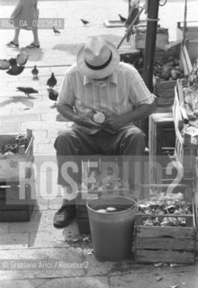 VENEZIA 1979 UOMO CHE PULISCE FONDI DI CARCIOFI © ARCHIVIO Graziano Arici/Rosebud2  MERCATO ORTUFRUTTICOLO CAMPO SANTA MARGHERITA