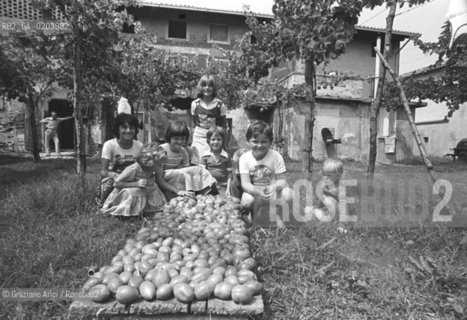 CAORLE 1977 BAMBINI © ARCHIVIO Graziano Arici/Rosebud2  CASA CAMPAGNA RACCOLTA POMODORI BAMBINI GRUPPO CONTADINI