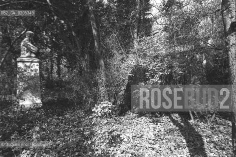 VENEZIA 1984 STATUA TRA LA VEGETAZIONE  © ARCHIVIO Graziano Arici/Rosebud2   ARCHEOLOGIA INDUSTRIALE ESTERNI MULINO STUCKY PRE-INCENDIO GIUDECCA