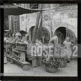 -VENEZIA, SAMUEL J. BECKETT, PRODUCER & PUBLISHER OF LANTERN SLIDES, FLOWER STALL - RIALTO, SENZA DATA. LASTRA IN VETRO PER LANTERNA MAGICA 8,2X8,2 ©ARCHIVIO Graziano Arici/Rosebud2  PERSONA FOTOANTICHE.-VENICE, SAMUEL J. BECKETT, PRODUCER & PUBLISHER OF LANTERN SLIDES, FLOWER STALL - RIALTO, UNDATED. GLASS SLIDE FOR MAGIC LANTERN, CM 8,2X8,2 ©Graziano Arici/Rosebud2 