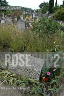 FRANCIA (PROVENCE-PROVENZA)  LA TOMBA DI ALBERT CAMUS NEL CIMITERO DI LOURMARIN © 2006 Graziano Arici/Rosebud2 / GEO LETTERATURA