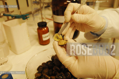 VENICE 31/3/2008 - VENICE GATEWAY FOR SCIENCE AND TECHNOLOGY - INCA LABORATORIES (INTER UNIVERSITY CONSORTIUM OF CHEMISTRY FOR THE ENVIRONMENT)  ANALIZED THE INDUSTRIAL POLLUTION IN VENICE LAGOON AND HIS ICHTHYIC FAUNA AND DISCOVERED THE CONNECTION WITH DIOXIN BLOOD CONTAMINATION IN THE PEOPLE WHO EATED VENICE LAGOON FISH : THE DIRECTOR OF MICROPOLLUTANTS LABORATORY DR. STEFANO RACCANELLI ©Graziano Arici/Rosebud2 INQUINAMENTO PORTO MARGHERA DIOSSINA