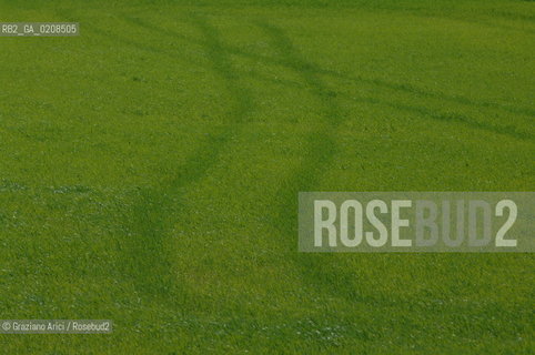 (PROVENCE, FRANCE) APRILE 2008 PRATO VERDE ©Graziano Arici/Rosebud2  COLORE GEO