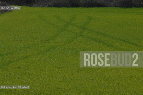 PROVENCE, FRANCE) APRILE 2008 PRATO VERDE ©Graziano Arici/Rosebud2  COLORE GEO