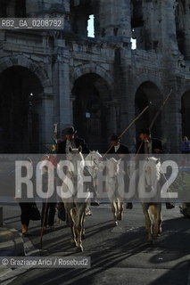 ARLES (FRANCE, PROVENCE) 1 MAY 2008 - 1 MAY HOLIDAY - FETE DES GARDIANS - HOLIDAY OF THE CAMARGUE CATTLE FARMER AND ELECTION OF ARLES QUEEN ROMAN ARENA ©Graziano Arici/Rosebud2 CAVALLO FESTA DEI GARDIANS COSTUME MAGGIO GIOIELLO PROVENZA CAPPELLO BAMBINO COURSE CAMARGUESE TORO GEO