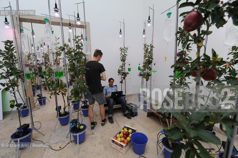 VENICE 11/09/08 - 11th INTERNATIONAL ARCHITECTURE EXIBITION OF BIENNALE : GERMAN PAVILLON - 080 TECHNICAL PARADISE BY TON MATTON ©Graziano Arici/Rosebud2 BIENNALE ARCHITETTURA ARCHITETTO