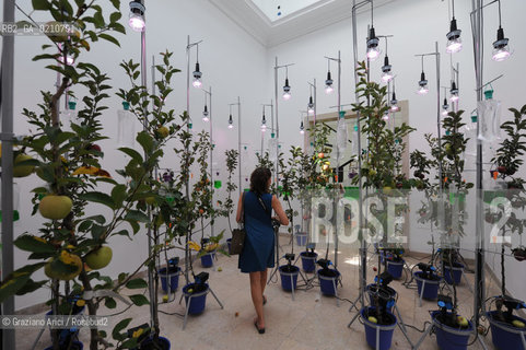 VENICE 11/09/08 - 11th INTERNATIONAL ARCHITECTURE EXIBITION OF BIENNALE : GERMAN PAVILLON - 080 TECHNICAL PARADISE BY TON MATTON ©Graziano Arici/Rosebud2 BIENNALE ARCHITETTURA ARCHITETTO