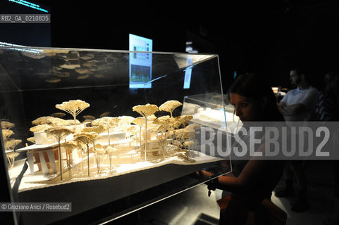 VENICE 11/09/08 - 11th INTERNATIONAL ARCHITECTURE EXIBITION OF BIENNALE - FRENCH PAVILLON ©Graziano Arici/Rosebud2 BIENNALE ARCHITETTURA ARCHITETTO