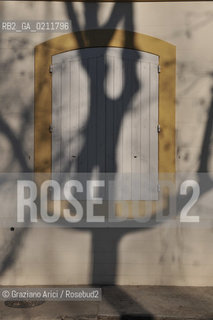 (FRANCE - FRANCIA) PROVENCE ARLES - BOULEVARD DES LICES ©Graziano Arici/Rosebud2 PROVENZA OMBRA ALBERO FINESTRA