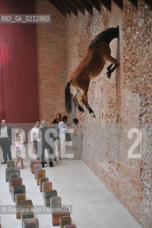 05.06.2009. THE NEW CONTEMPORARY ART CENTRE- FRANCOIS PINAULT FOUNDATION AT PUNTA DELLA DOGANA : THE NEW MODERN ART MUSEUM IN VENICE ©Graziano Arici/Rosebud2 ARTE MUSEO