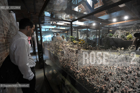 05.06.2009. THE NEW CONTEMPORARY ART CENTRE- FRANCOIS PINAULT FOUNDATION AT PUNTA DELLA DOGANA : THE NEW MODERN ART MUSEUM IN VENICE ©Graziano Arici/Rosebud2 ARTE MUSEO