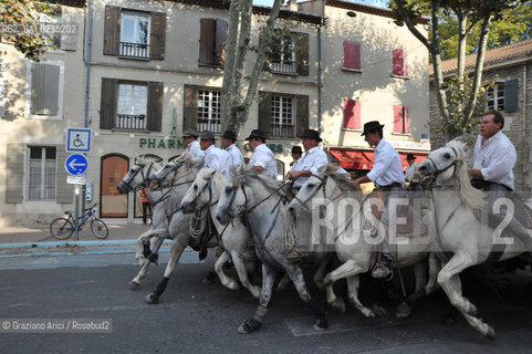 St-Remy-de- Provence (France - Provence - Provenza) 8/09 - coffeshop and horses during the Feria ©Graziano Arici/Rosebud2 geo cavallo toro