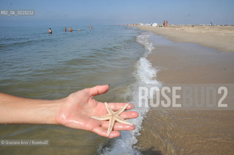 Camargue (France - Provence - Provenza) 8/09 - beach in Camargue   ©Graziano Arici/Rosebud2 geo spiaggia