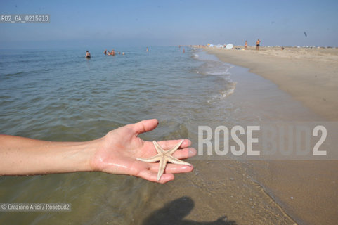 Camargue (France - Provence - Provenza) 8/09 - beach in Camargue   ©Graziano Arici/Rosebud2 geo spiaggia