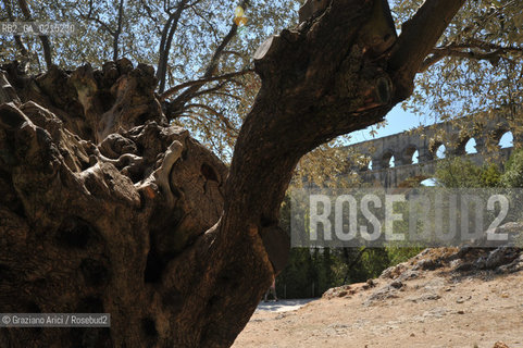 Pont-du Gard (France - Provence - Provenza) 8/09 - Pont-du-gard  ©Graziano Arici/Rosebud2 geo acquedotto romano barca fiume albero valentina