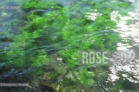 Vaucluse (France - Provence - Provenza) 8/09 - Fontaine de Vaucluse - spring Petrarca Laura ©Graziano Arici/Rosebud2 geo sorgente acqua verde