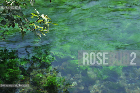 Vaucluse (France - Provence - Provenza) 8/09 - Fontaine de Vaucluse - spring Petrarca Laura ©Graziano Arici/Rosebud2 geo sorgente acqua verde