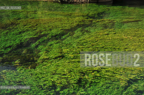 Vaucluse (France - Provence - Provenza) 8/09 - Fontaine de Vaucluse - spring Petrarca Laura ©Graziano Arici/Rosebud2 geo sorgente acqua verde