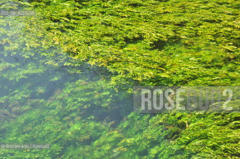 Vaucluse (France - Provence - Provenza) 8/09 - Fontaine de Vaucluse - spring Petrarca Laura ©Graziano Arici/Rosebud2 geo sorgente acqua verde