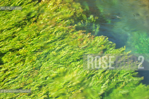 Vaucluse (France - Provence - Provenza) 8/09 - Fontaine de Vaucluse - spring Petrarca Laura ©Graziano Arici/Rosebud2 geo sorgente acqua verde