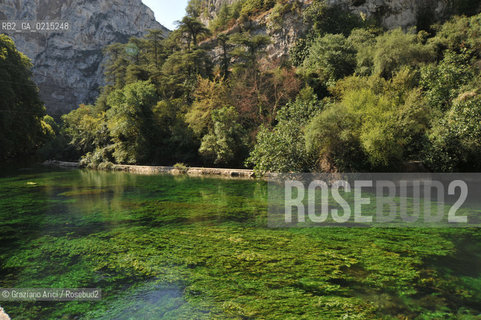 Vaucluse (France - Provence - Provenza) 8/09 - Fontaine de Vaucluse - spring Petrarca Laura ©Graziano Arici/Rosebud2 geo sorgente acqua verde