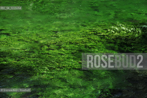 Vaucluse (France - Provence - Provenza) 8/09 - Fontaine de Vaucluse - spring Petrarca Laura ©Graziano Arici/Rosebud2 geo sorgente acqua verde