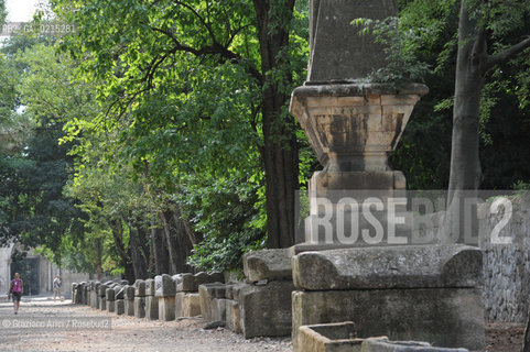 Arles (France - Provence - Provenza) 8/09 - Les Alyscamps ©Graziano Arici/Rosebud2 geo castello