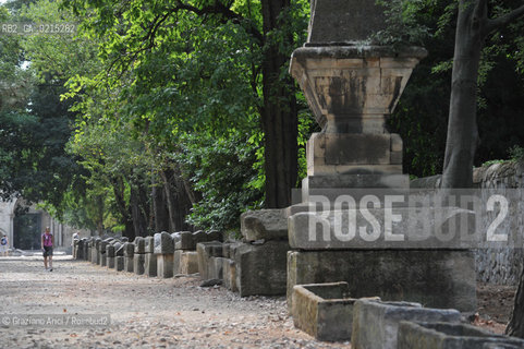 Arles (France - Provence - Provenza) 8/09 - Les Alyscamps ©Graziano Arici/Rosebud2 geo castello