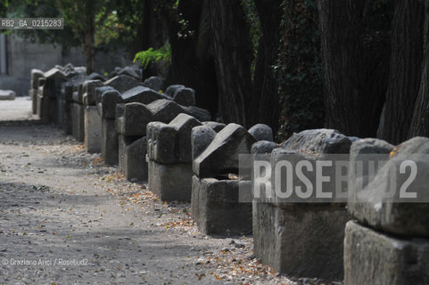 Arles (France - Provence - Provenza) 8/09 - Les Alyscamps ©Graziano Arici/Rosebud2 geo castello