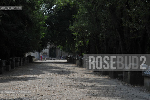 Arles (France - Provence - Provenza) 8/09 - Les Alyscamps ©Graziano Arici/Rosebud2 geo castello