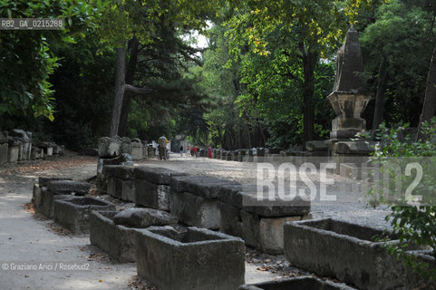 Arles (France - Provence - Provenza) 8/09 - Les Alyscamps ©Graziano Arici/Rosebud2 geo castello