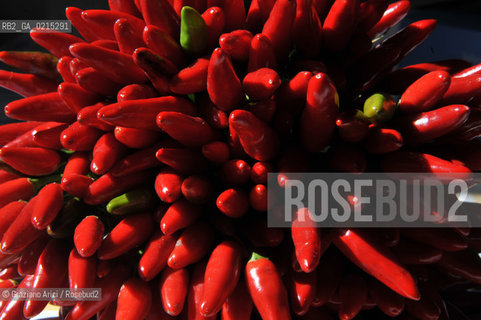 Arles (France - Provence - Provenza) 8/09 - peppers ©Graziano Arici/Rosebud2 geo rosso peperoncini