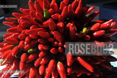Arles (France - Provence - Provenza) 8/09 - peppers ©Graziano Arici/Rosebud2 geo rosso peperoncini