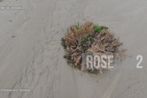 (FRANCE - FRANCIA) PROVENCE ARLES - CAMARGUE ©Graziano Arici/Rosebud2 PROVENZA