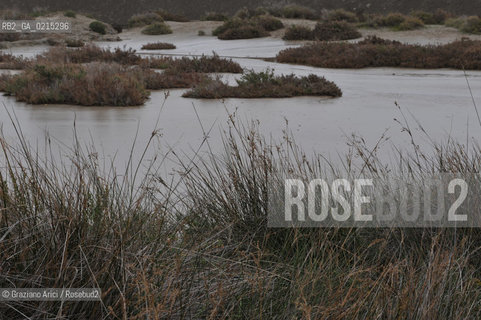 (FRANCE - FRANCIA) PROVENCE ARLES - CAMARGUE ©Graziano Arici/Rosebud2 PROVENZA