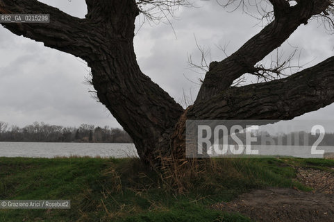 (FRANCE - FRANCIA) PROVENCE ARLES - CAMARGUE SALINE FIUME RODANO ©Graziano Arici/Rosebud2 PROVENZA