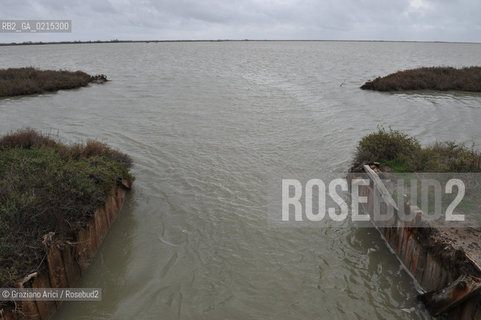 (FRANCE - FRANCIA) PROVENCE ARLES - CAMARGUE  ©Graziano Arici/Rosebud2 PROVENZA