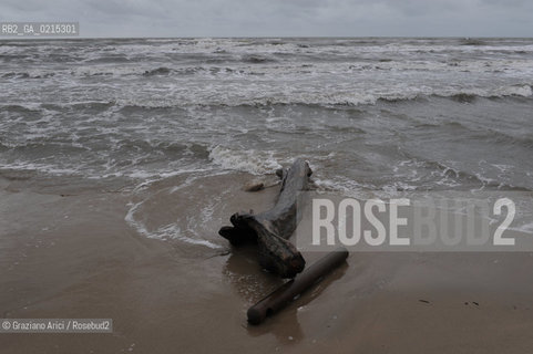 (FRANCE - FRANCIA) PROVENCE ARLES - CAMARGUE  ©Graziano Arici/Rosebud2 PROVENZA