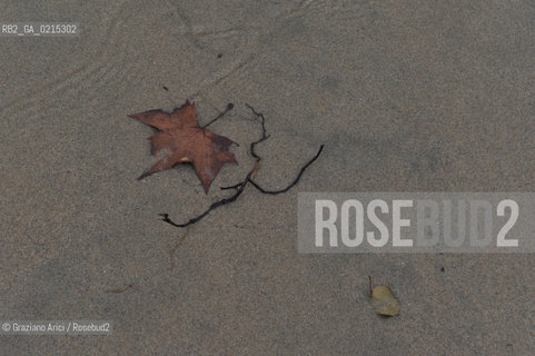 (FRANCE - FRANCIA) PROVENCE ARLES - CAMARGUE  ©Graziano Arici/Rosebud2 PROVENZA