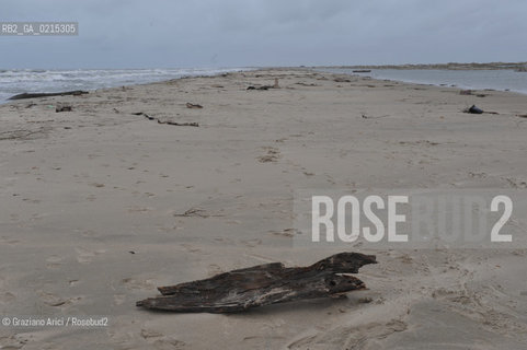 (FRANCE - FRANCIA) PROVENCE ARLES - CAMARGUE  ©Graziano Arici/Rosebud2 PROVENZA