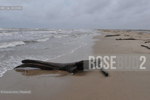 (FRANCE - FRANCIA) PROVENCE ARLES - CAMARGUE  ©Graziano Arici/Rosebud2 PROVENZA