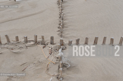 (FRANCE - FRANCIA) PROVENCE ARLES - CAMARGUE  ©Graziano Arici/Rosebud2 PROVENZA