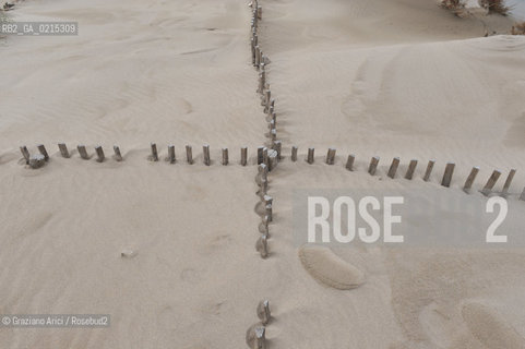 (FRANCE - FRANCIA) PROVENCE ARLES - CAMARGUE  ©Graziano Arici/Rosebud2 PROVENZA