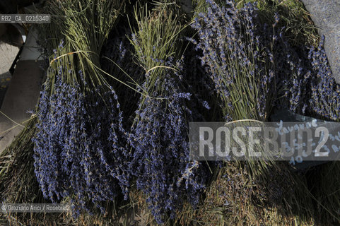 Arles (France - Provence - Provenza) 8/09 - market lavender ©Graziano Arici/Rosebud2 geo lavanda gastronomia